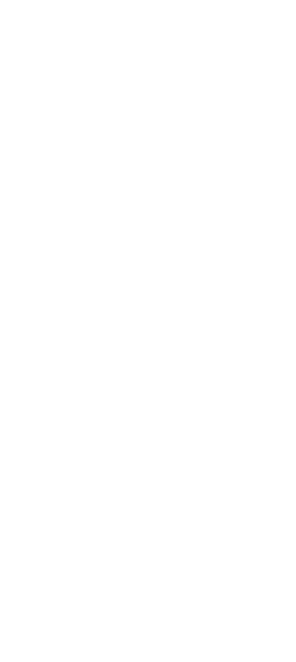 Left Decoration